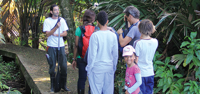 Tortuguero Forest Walk
